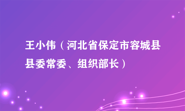 王小伟（河北省保定市容城县县委常委、组织部长）