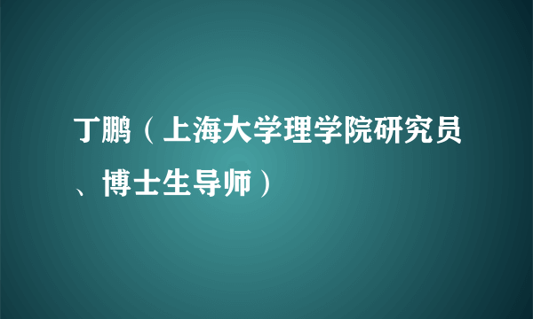 丁鹏（上海大学理学院研究员、博士生导师）