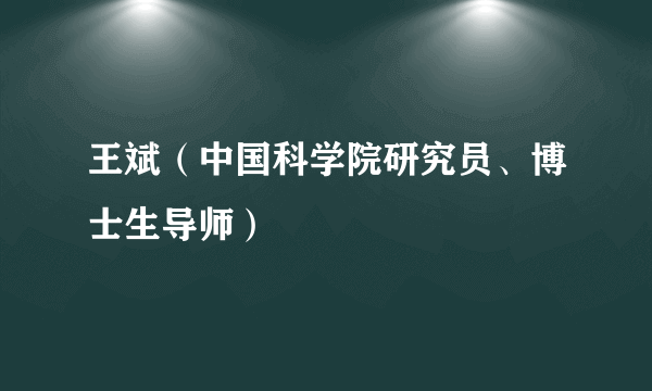 王斌（中国科学院研究员、博士生导师）