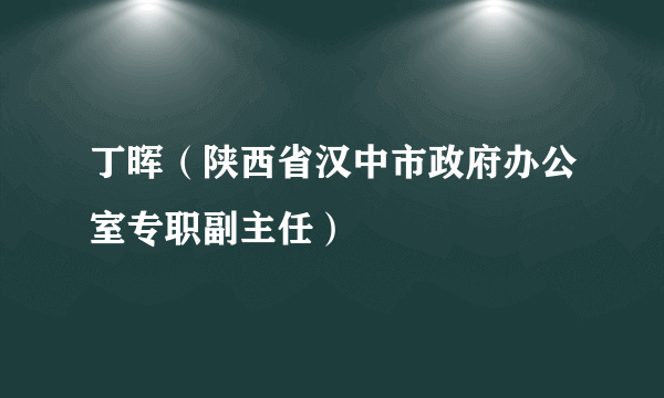 什么是丁晖（陕西省汉中市政府办公室专职副主任）