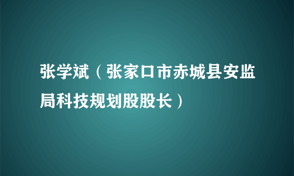 什么是张学斌（张家口市赤城县安监局科技规划股股长）