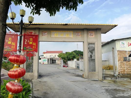 坑口村（广东省江门市新会区崖门镇下辖村）