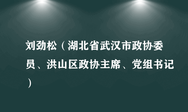 刘劲松（湖北省武汉市政协委员、洪山区政协主席、党组书记）