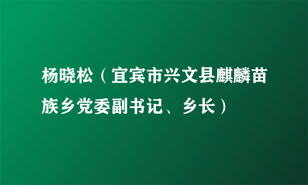 杨晓松（宜宾市兴文县麒麟苗族乡党委副书记、乡长）