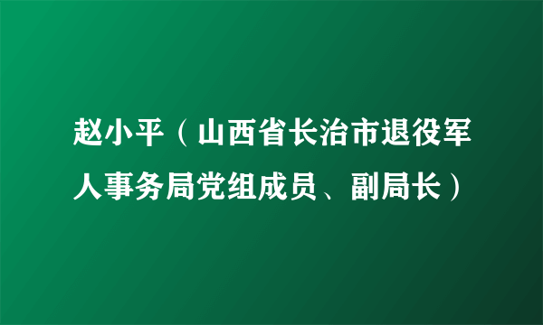 赵小平（山西省长治市退役军人事务局党组成员、副局长）