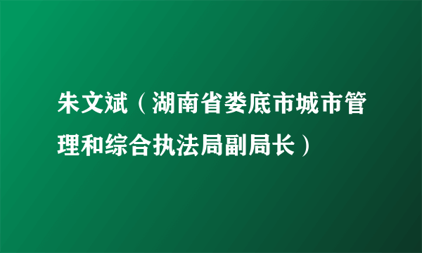 朱文斌（湖南省娄底市城市管理和综合执法局副局长）