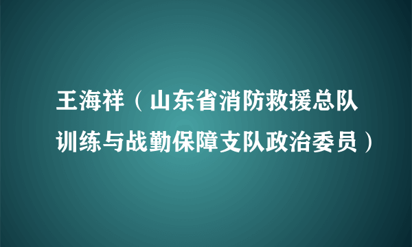 王海祥（山东省消防救援总队训练与战勤保障支队政治委员）