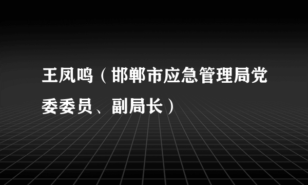 什么是王凤鸣（邯郸市应急管理局党委委员、副局长）