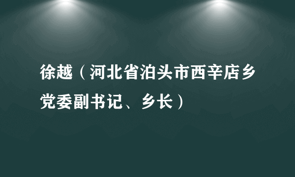 徐越（河北省泊头市西辛店乡党委副书记、乡长）