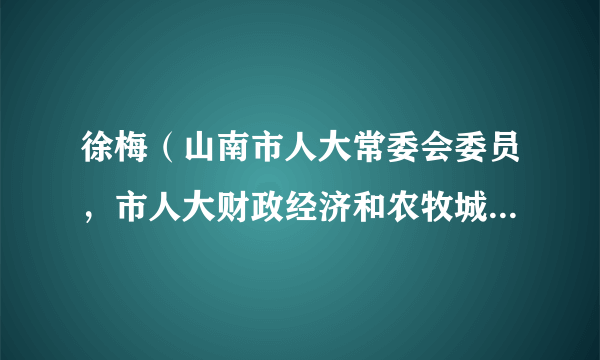 徐梅（山南市人大常委会委员，市人大财政经济和农牧城建环境资源委员会主任委员）