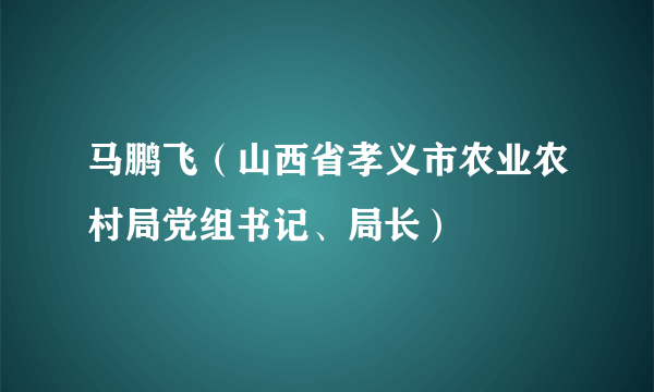 马鹏飞（山西省孝义市农业农村局党组书记、局长）