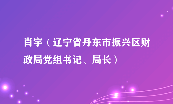 肖宇（辽宁省丹东市振兴区财政局党组书记、局长）