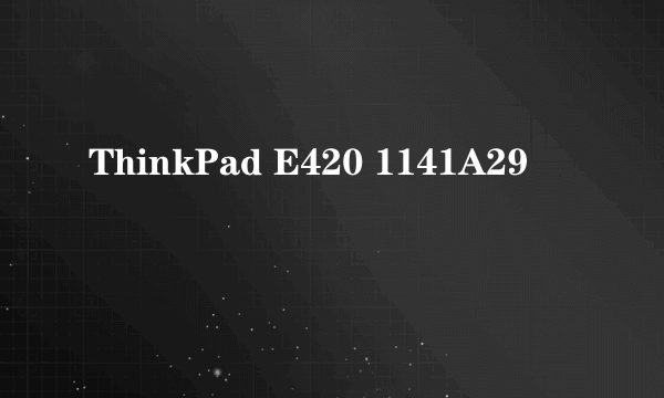 什么是ThinkPad E420 1141A29