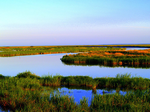 千鸟湖湿地公园