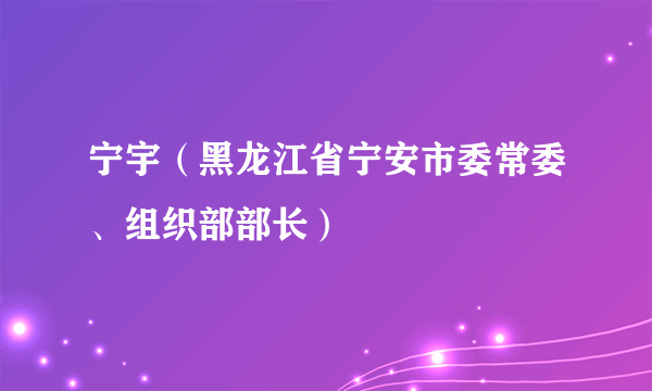 什么是宁宇（黑龙江省宁安市委常委、组织部部长）