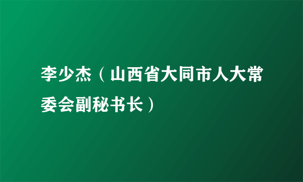 李少杰（山西省大同市人大常委会副秘书长）