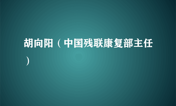 胡向阳（中国残联康复部主任）