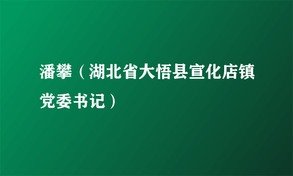 潘攀（湖北省大悟县宣化店镇党委书记）