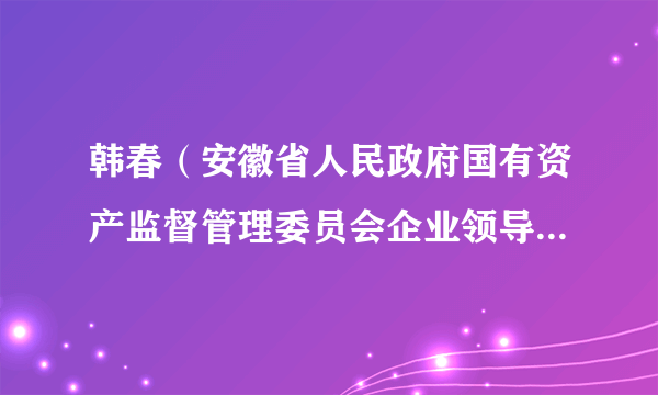 韩春（安徽省人民政府国有资产监督管理委员会企业领导人员管理处副处长）