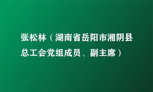 张松林（湖南省岳阳市湘阴县总工会党组成员、副主席）