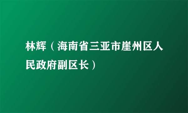 林辉（海南省三亚市崖州区人民政府副区长）