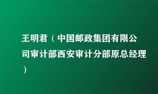 王明君（中国邮政集团有限公司审计部西安审计分部原总经理）