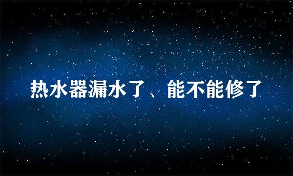 热水器漏水了、能不能修了