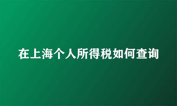 在上海个人所得税如何查询