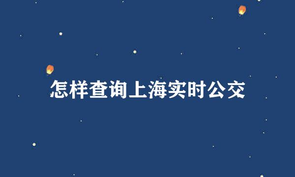 怎样查询上海实时公交