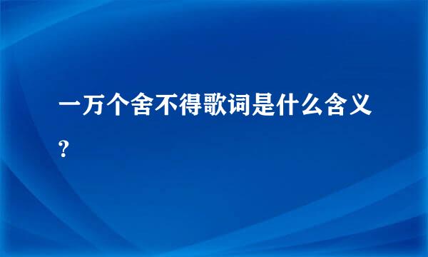 一万个舍不得歌词是什么含义？