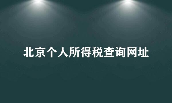 北京个人所得税查询网址