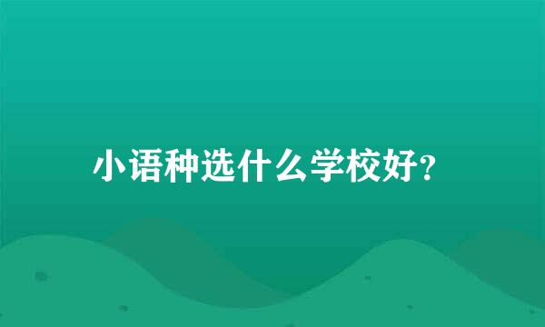 小语种选什么学校好？