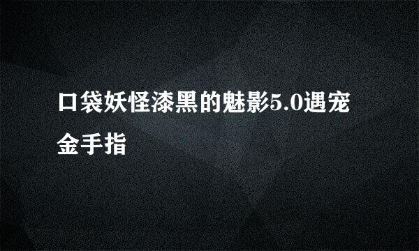 口袋妖怪漆黑的魅影5.0遇宠金手指