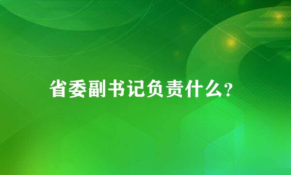 省委副书记负责什么？