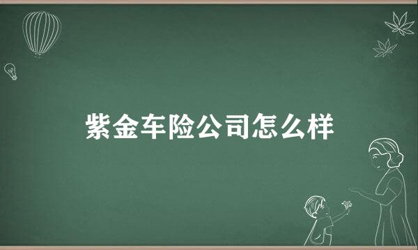 紫金车险公司怎么样