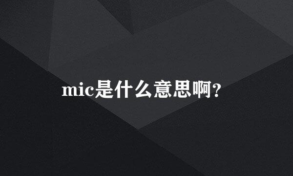 mic是什么意思啊？