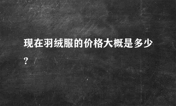 现在羽绒服的价格大概是多少?