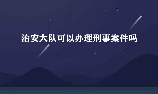 治安大队可以办理刑事案件吗