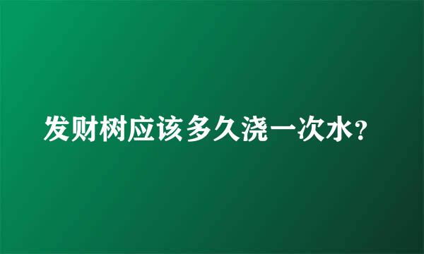 发财树应该多久浇一次水？