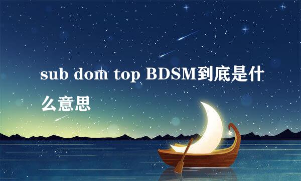 sub dom top BDSM到底是什么意思