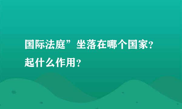 国际法庭”坐落在哪个国家？起什么作用？