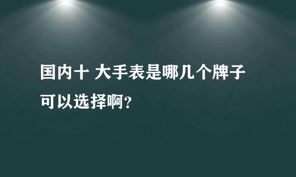 国内十 大手表是哪几个牌子可以选择啊？