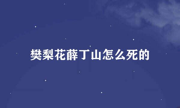 樊梨花薛丁山怎么死的