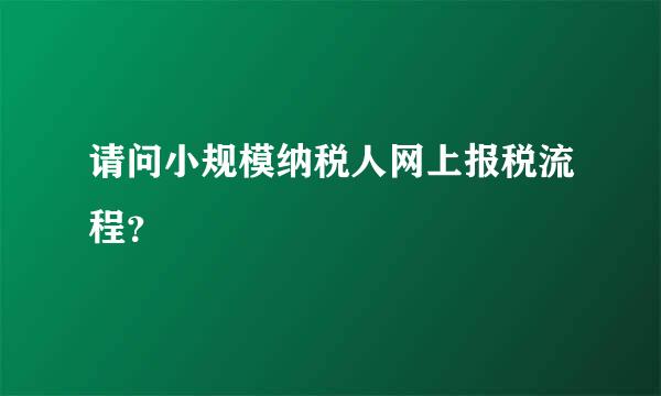 请问小规模纳税人网上报税流程？