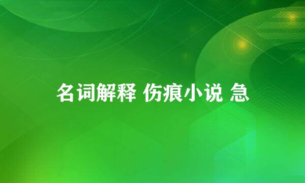 名词解释 伤痕小说 急