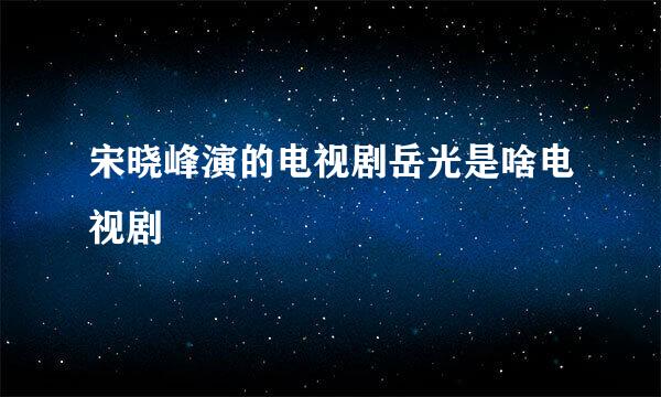 宋晓峰演的电视剧岳光是啥电视剧