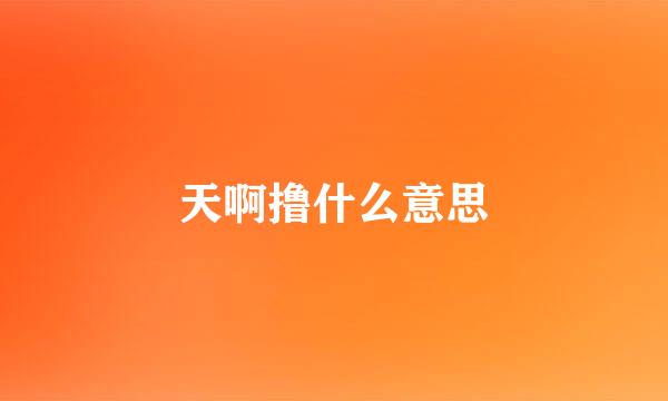 天啊撸什么意思