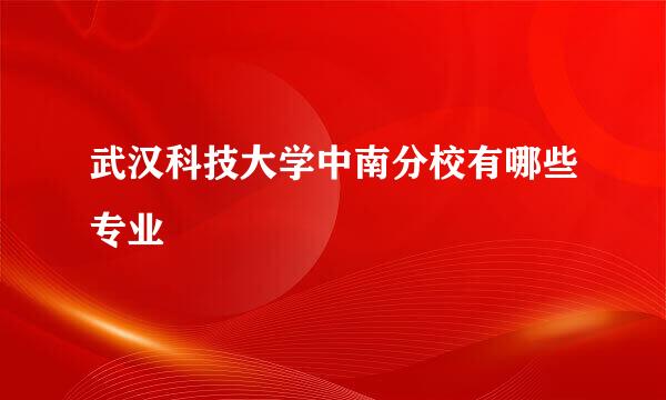 武汉科技大学中南分校有哪些专业