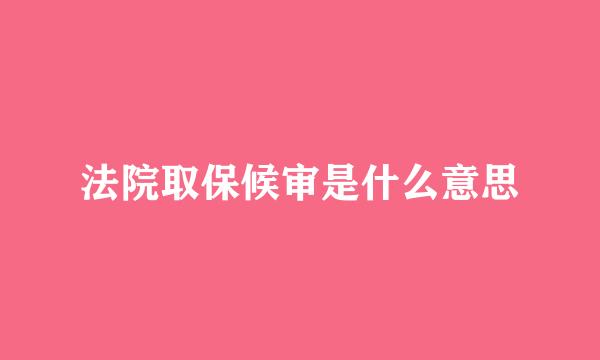 法院取保候审是什么意思