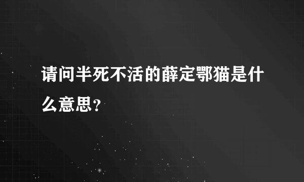 请问半死不活的薛定鄂猫是什么意思？